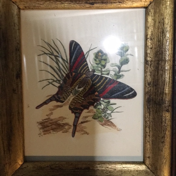 Picture - Picture 2 of 4